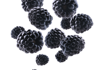 Black-Berries.png