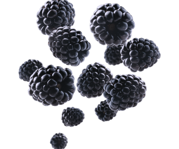 Black-Berries.png