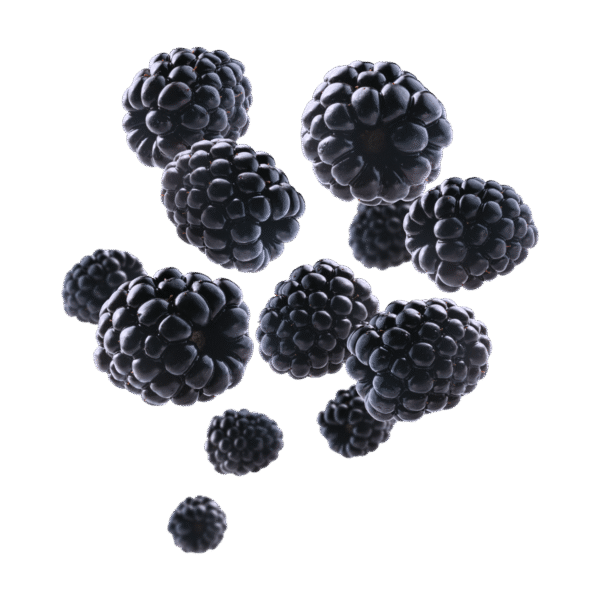 Black Berries - Pack