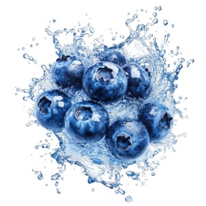 Blue Berries - Pack