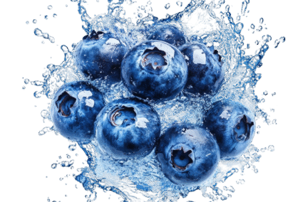 Blue-Berries.png