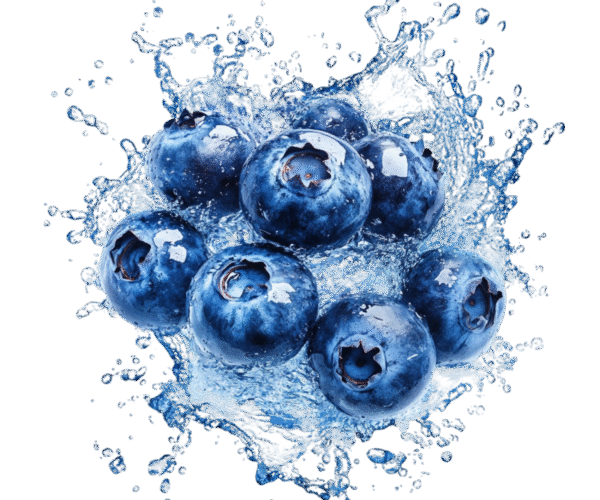 Blue-Berries.png