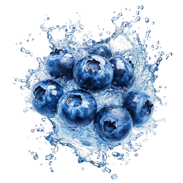 Blue Berries - Pack