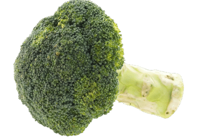 Broccoli.png