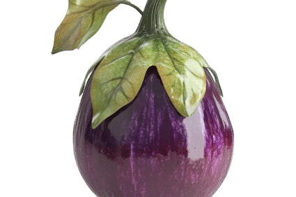 Eggplant-Small.png