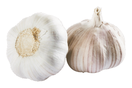 Garlic.png