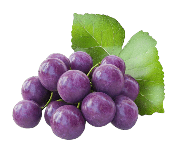Grapes.png