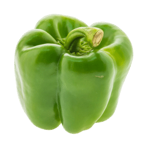 Capsicum - Pack of Three