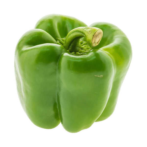 Capsicum - Pack of Three