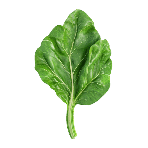 Palak/Spinach - Cut