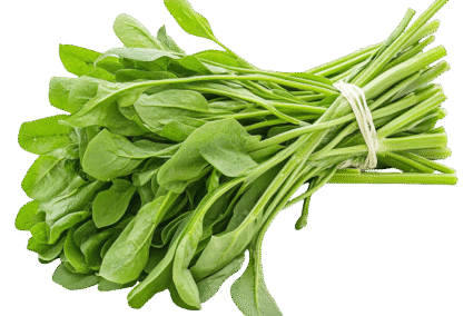 Spinach.png