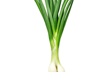 Spring-Onion.png