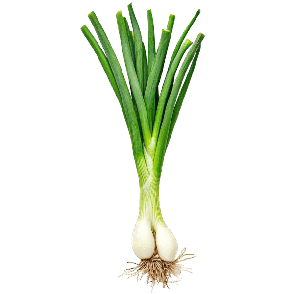 Spring Onion - Bunch