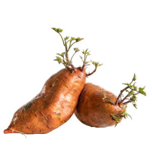 Sweet Potato - Each