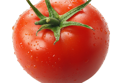 Tomato.png