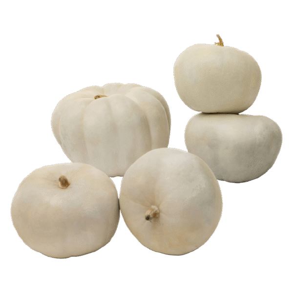 White Pumpkin - 500G