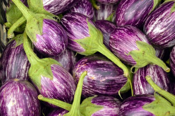 Brinjal (Small Eggplant) 500g
