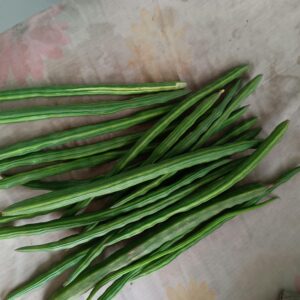 Drumstick each