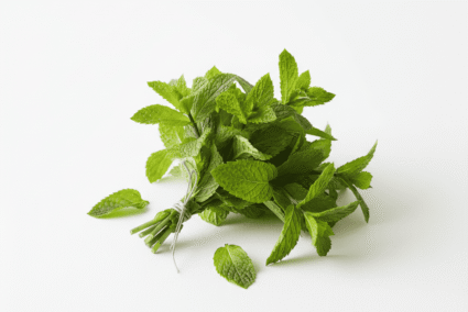 Mint-Leaves-Single