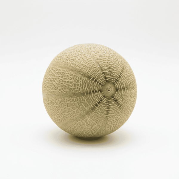 Rockmelon each
